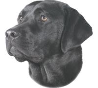 Nobby Autocollant Labrador noir 120 x 150 mm, set de 2