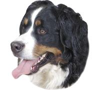 Nobby Bouvier Bernois Autocollant pour Chien 12 x 15 cm 2 Pièces