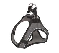 Nobby Collier "Cayo" gris Poitrine : 35-38 cm, Ventre : 36-38 cm
