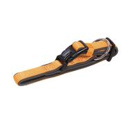 Nobby collier "Classic Preno" L: 30-45 cm, B: 20/25 mm orange / gris