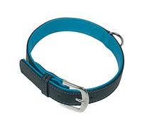 Nobby Collier pour Pacific, 37 cm, Turquoise