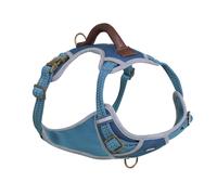 Nobby Collier "SPORTY" bleu S-M : Cou : 30-45 cm, Poitrine : 45-62 cm, L : 20 mm