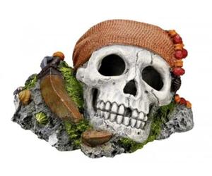 Nobby Crâne avec Plantes Décoration pour Aquarium 19,5 x 16 x 14 cm