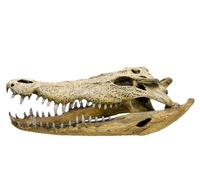 Nobby Crâne de Crocodile Décoration pour Aquarium 47,5 x 20,5 x 16 cm