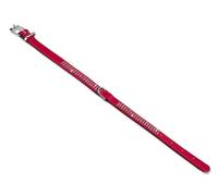 Nobby Crystal Collier pour Chien