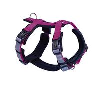 Nobby Daily Walk Comfort 80450-64 Harnais pour Chien Motif Framboise Taille L : Poitrine 42-58 cm