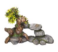 Nobby Bonsaï Décoration pour Aquarium pour Aquariophilie 190 x 90 x 130 mm