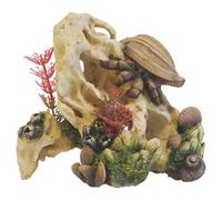 Nobby Décoration d'Aquarium Coquillage Sur Pierre 13,9x8,9x12,2cm Pour Aquarium