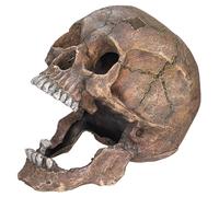 Nobby Décoration D'Aquarium Crâne L13,5xB20xH16,5 Cm Pour Eau Douce Et Eau Salée