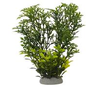 Nobby Décoration D'Aquarium Helzine I Vert 6,5x6,5x18,5 CM Doux De Eau de Mer