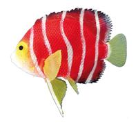 Nobby Décoration pour Aquariophilie Scalaire Flottant 11 cm