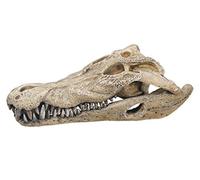 Nobby Décoration pour Aquariophilie Crane de Crocodile 260 X 140 X 90 mm