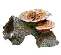 Nobby Décoration pour Aquarium en Forme d'arbre Creux/Champignons pour Aquariophilie 180 x 190 x 100 mm
