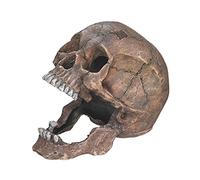 Nobby - Décoration pour aquarium - Tête de mort - 13,5 x 20 x 16,5 cm - Résine - Halloween