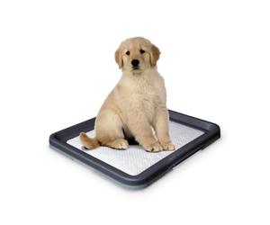 Nobby - Doggy Trainer / 67151 - Matelas d'apprentissage de la propreté - Modèle L / 62.5 x 48 x 3.8 cm