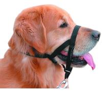 Nobby Easy Leader Muselière pour Chien Noir Taille 4