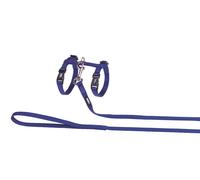 Nobby ensemble de chat bleu