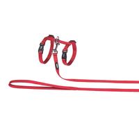 Nobby ensemble de chat rouge