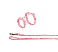 Nobby ensemble "Kitty Cat" rose