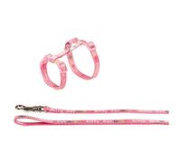 Nobby Harnais + Laisse pour Chat Motif Kitty Cat Rose 15-22/30-32 cm + 8 mm x 120 cm