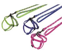 Nobby Ensemble Nylon Lapin "Carotte" bleu