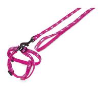 Nobby Ensemble Nylon Lapin Laisse 1M Harnais Violet Carotte 10Mm Léger