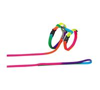 Nobby Set de Laisse/Harnais en Nylon pour Chat Couleurs de l'Arc