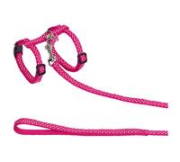 Nobby Harnais/Laisse Motif Pois pour Chat Rose 10 mm 30 à 35 cm 120 cm