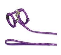 Nobby Harnais/Laisse Motif Pois pour Chat Mauve 10 mm 30 à 35 cm 120 cm