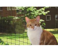 Nobby filet anti-chats S 2 x 3 m noir