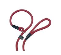 Nobby Fun Uni Laisse pour Chien Bordeaux 170 cm/13 mm