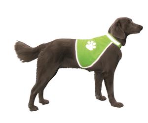 Nobby gilet de sécurité taille M