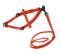 Nobby Harnais avec Laisse pour Lapin Rouge 10 mm x 30-35 cm