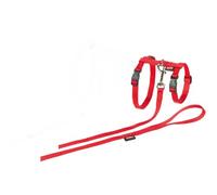 Nobby Harnais + Laisse pour Grand Chat Rouge 34/57 cm + 120 cm