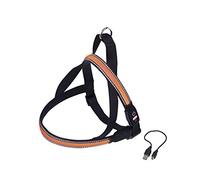 Nobby Harnais norvégien Flash Mesh Orange S : L : 50-65 cm + 48 cm, l : 25 mm
