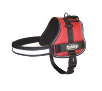 Nobby Harnais "SEGURO" Tour de taille : 45-60 cm, Larg. : 25 mm rouge