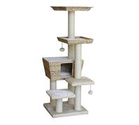 Nobby Kratzbaum MOTEGA