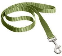 Nobby Laisse en Nylon pour Chien Vert 10 mm x 120 cm