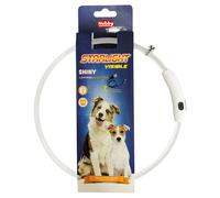 Nobby Led-Lichtring Brillant pour Chiens, 65 CM, 4 Couleurs, Visible À 300 M