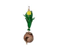 Nobby Maison de Noix de Coco avec Feuilles de maïs