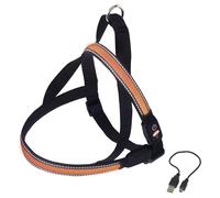 Nobby Norvégien Collier Flash Mesh Orange, Réfléchissant, USB, Pour Chiens