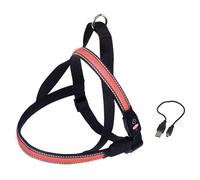 Nobby Norvégien Harnais Flash Mesh Rouge Pour Chiens, Sûr Et Confortable