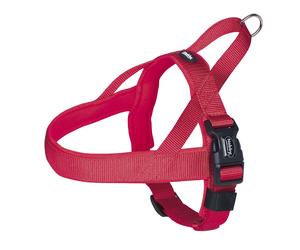 Nobby NORWEGER vaisselle "Classic Preno" L: 60-76 cm + 46 cm, l: 25/35 mm rouge / rouge