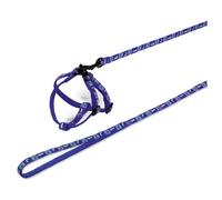 Nobby Harnais + Laisse Motif Lapin et Carotte pour Petit Animal Bleu