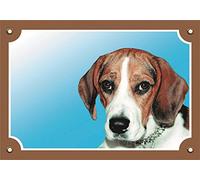 Nobby Panneau d'avertissement Beagle jaune 12 x 3,5 cm