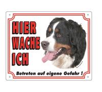 Nobby Panneau d'avertissement Bouvier bernois 250 x 200 mm