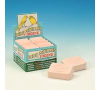 Nobby piques anglaises extra grandes 10 pièces rose
