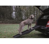 Nobby Rampe pour Chiens, Neuf