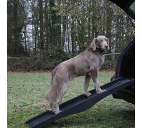 Nobby Rampe pour Chiens, Neuf