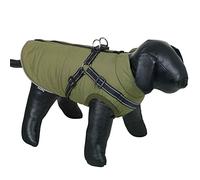 NOBBY SALUS Manteau pour Chien 2 en 1 Vert 23 cm